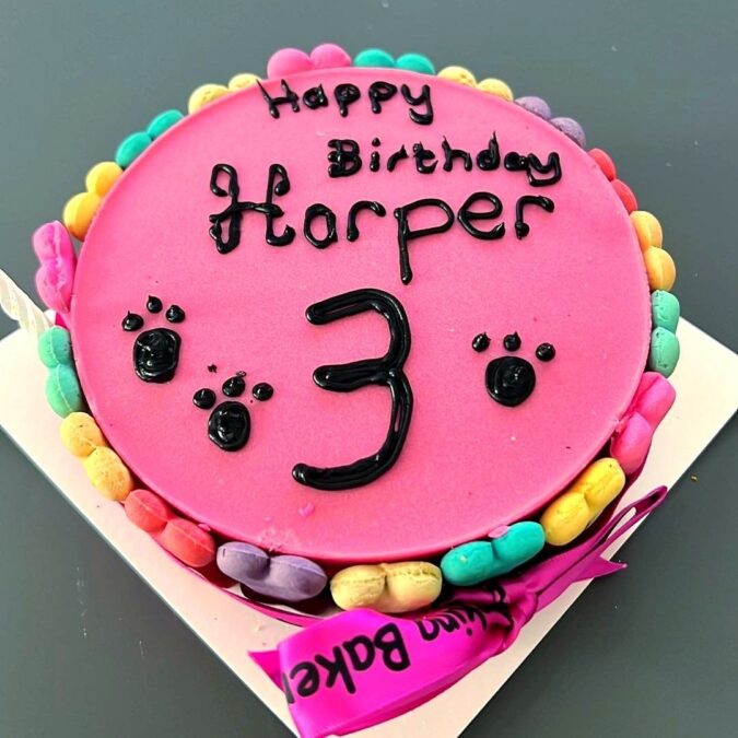 Dog birthday cake - pink