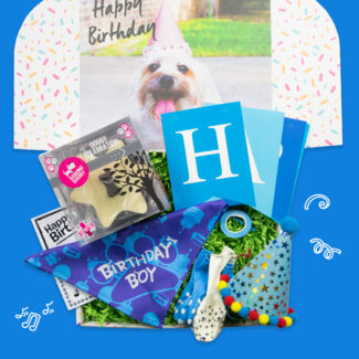 Dog Birthday Party Box