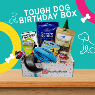 Tough dog birthday box