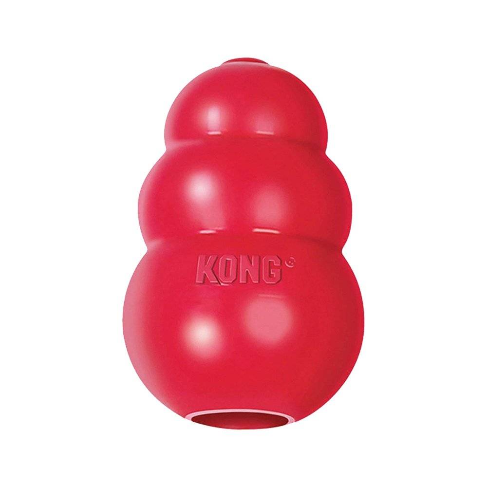 KONG Classic Dog Toy