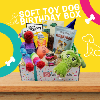 Soft toy dog birthday box