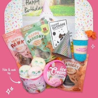 Treats Galore Dog Birthday Box