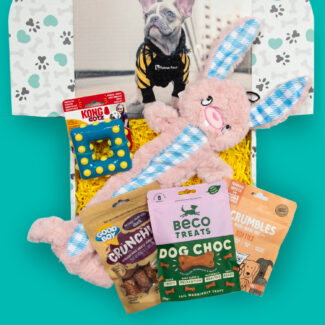 easter dog treat box