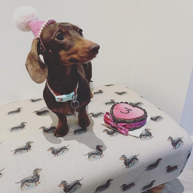 Heart Dog birthday cake