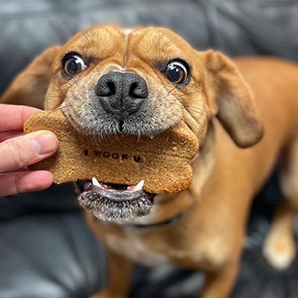 Dog Treats