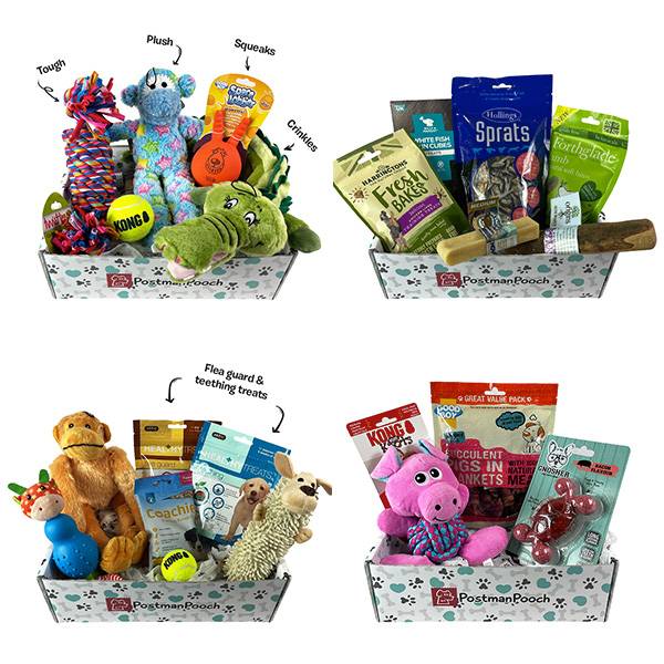 Goody Box Birthday Dog Toys & Treats, Medium/Large