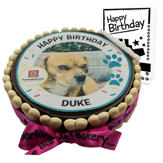 Picture dog birthday cake