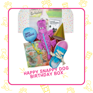 Happy Snappy Dog Birthday Box