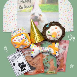 The ultimate dog birthday box