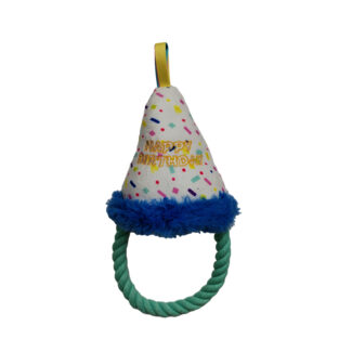 Happy Birthday Hat Dog Toy