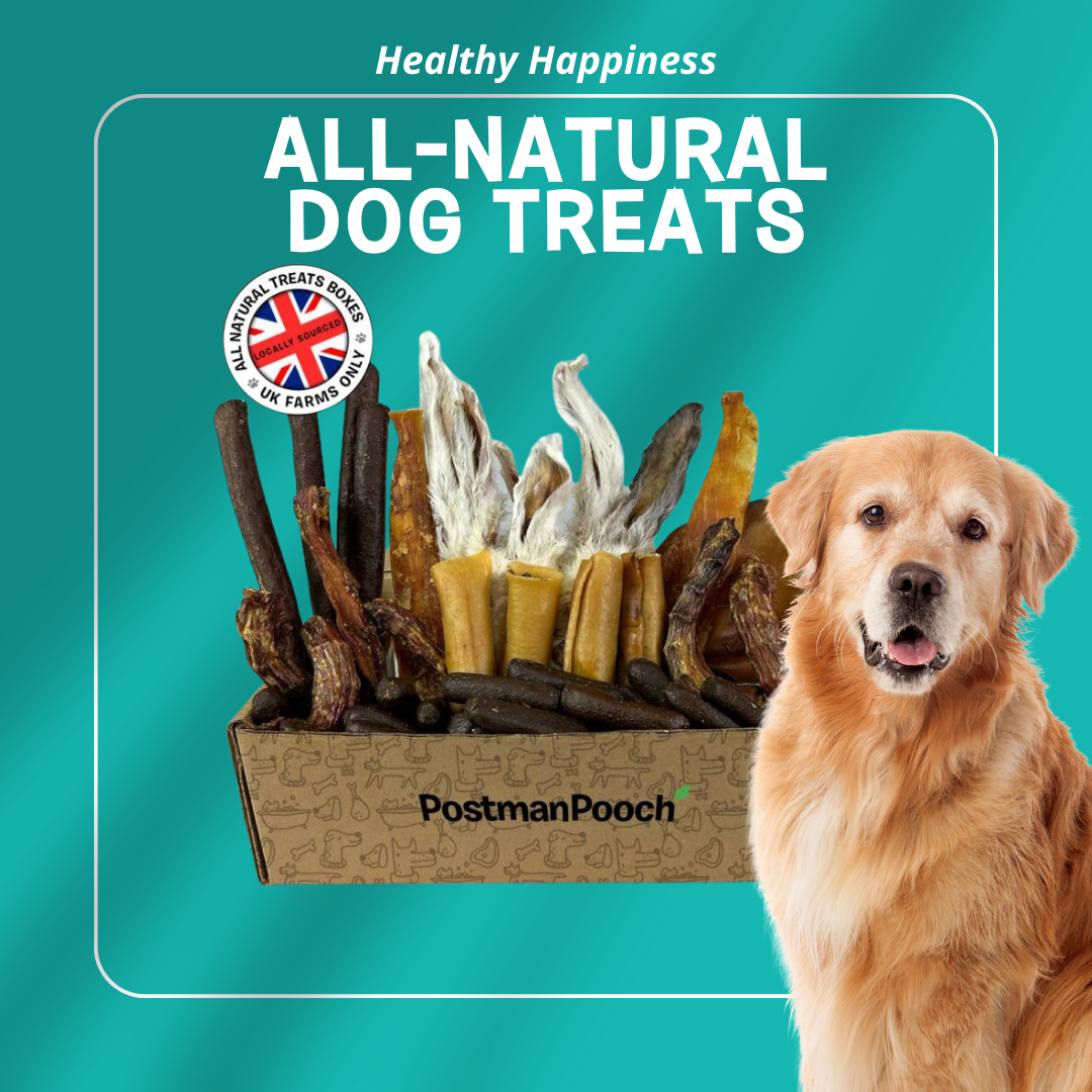 All Natural Dog Treats