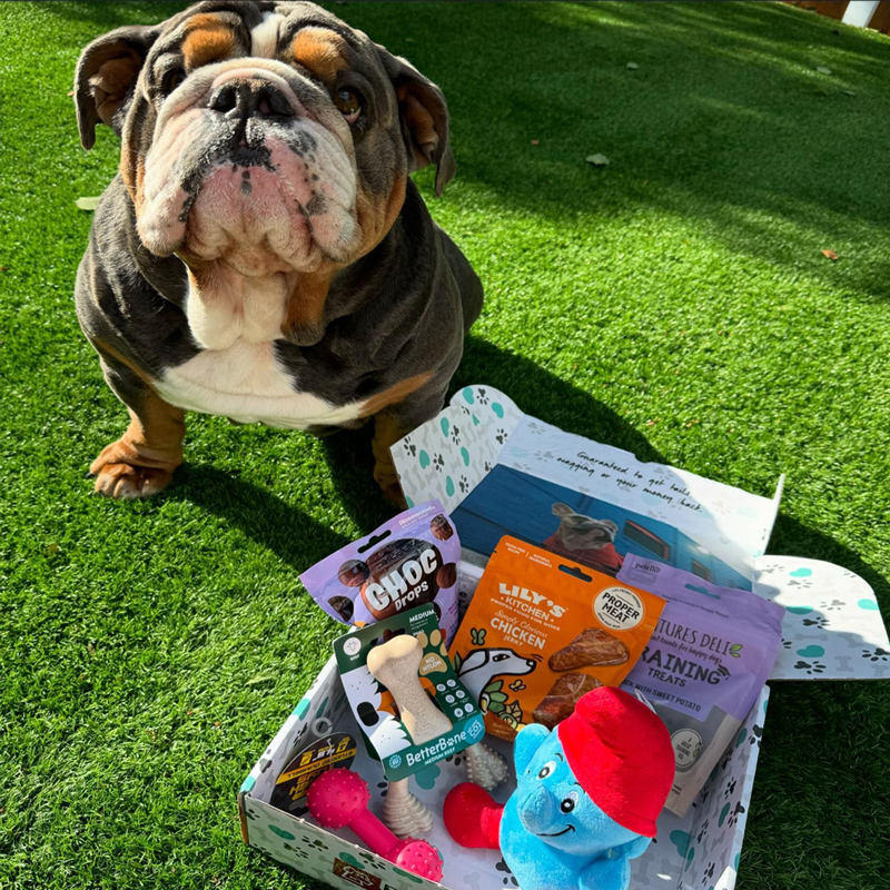 Dog Subscription Boxes
