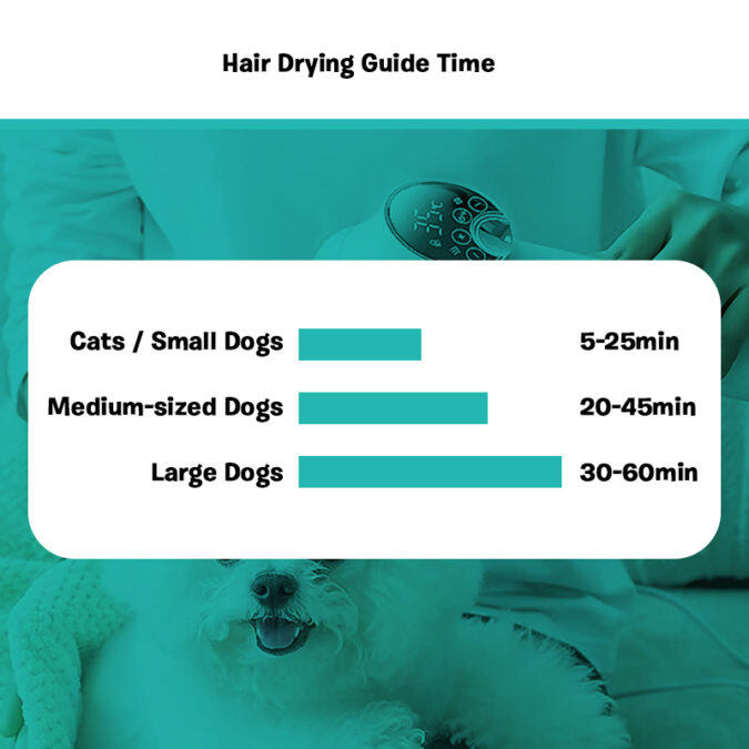 Dog Dryer Brush