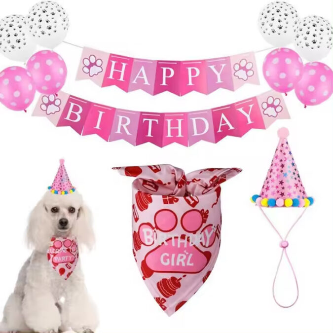 Girl Dog Birthday Party Decorations